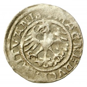 Zikmund I. Starý, půlgroše 1521, Vilnius (511)