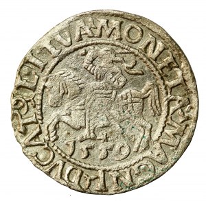 Zygmunt II August, Półgrosz 1557, Wilno (512)
