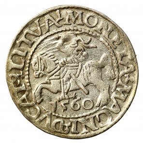 Zikmund II August, půlgroš 1560, Vilnius - L/LITVA (513)
