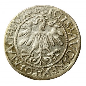 Zikmund II August, půlgroš 1560, Vilnius - L/LITVA (513)