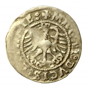 Zikmund I. Starý, půlgroše 1523, Vilnius (514)