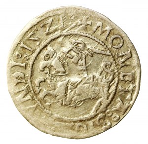 Zikmund I. Starý, půlgroše 1521, Vilnius (515)
