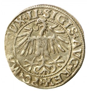 Sigismund II Augustus, Half-penny 1549, Vilnius - LI/LITVA (517)