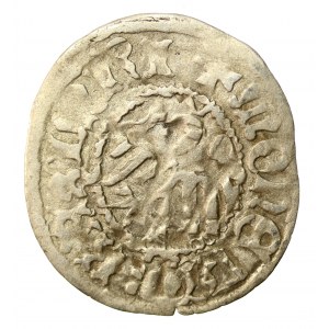 Kazimierz IV Jagiellończyk, půlpenny bez data, Krakov (520)