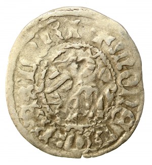 Kazimierz IV Jagiellończyk, půlpenny bez data, Krakov (520)