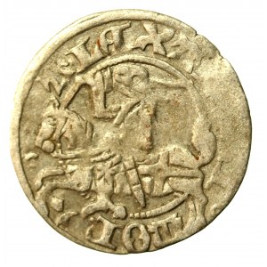 Alexander Jagellonský, Vilniuský půlpenny - gotika/renesance - 5. emise - velmi vzácný (521)