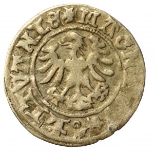 Alexander Jagellonský, Vilniuský půlpenny - gotika/renesance - 5. emise - velmi vzácný (521)