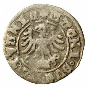 Alexander Jagellonský, Vilniuský půlpenny - gotika/renesance - 5. emise - velmi vzácný (522)