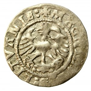 Zikmund I. Starý, půlgroše 1524, Vilnius (524)