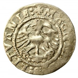 Zikmund I. Starý, půlgroše 1524, Vilnius (524)