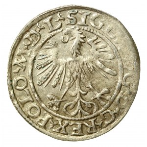 Sigismund II Augustus, Half-penny 1564, Vilnius - L/LITVA (532)