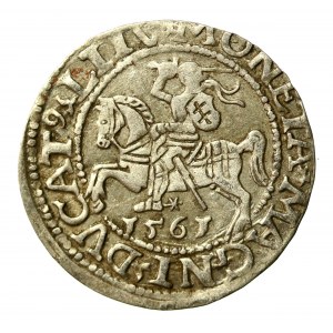 Sigismund II Augustus, Half-penny 1561, Vilnius - LI/LITVA (533)
