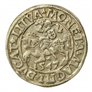 Zikmund II August, půlgroše 1547, Vilnius - LI/LITVA (535)