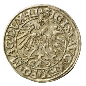 Zikmund II August, půlgroše 1547, Vilnius - LI/LITVA (535)