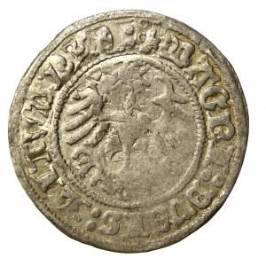 Sigismund I the Old, Half-penny 1517, Vilnius (541)