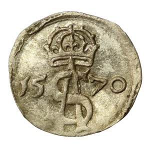 Sigismund II Augustus, Dwudenar 1570, Vilnius (543)
