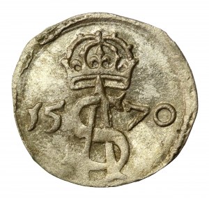 Zygmunt II August, Dwudenar 1570, Wilno (543)