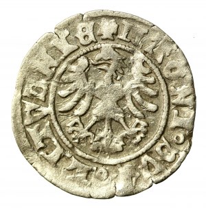 Alexander Jagellonský, půlpenny, Vilnius - gotika/renesance (545)