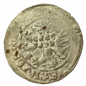 Německo, Míšeň, březen, Fridrich II. Šlechetný a Vilém III. (566)