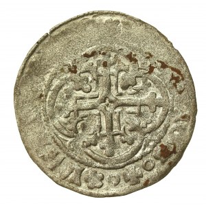 Německo, Míšeň, březen, Fridrich II. Šlechetný a Vilém III. (566)