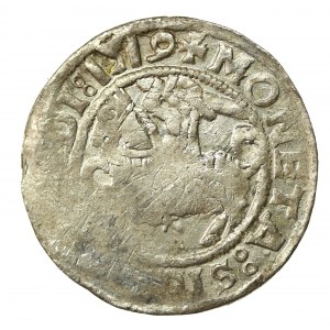 Zikmund I. Starý, půlgroše 1519, Vilnius (578)