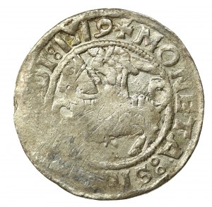 Zikmund I. Starý, půlgroše 1519, Vilnius (578)