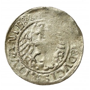 Zikmund I. Starý, půlgroše 1519, Vilnius (578)