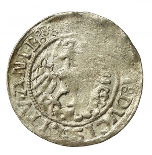 Zikmund I. Starý, půlgroše 1519, Vilnius (578)