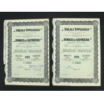 "Strength and Light" S.A., 100 zl 1935. set of 2 pcs. (634)