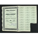"Strength and Light" S.A., 100 zl 1935. set of 2 pcs. (634)