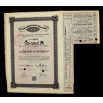 Składy Towarowe Warrant S.A., 50 x 10.000 mkp, Emisja I (638)
