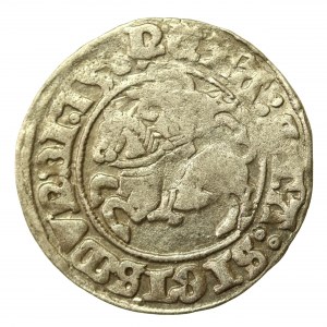 Zikmund I. Starý, vilniuský půlpeníz. Zajímavý destruktor bez datace (756)