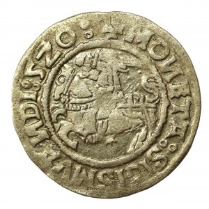 Zygmunt I Stary, Półgrosz Wilno 1520 - skrócona data 520. SIGISMUANDI (760)