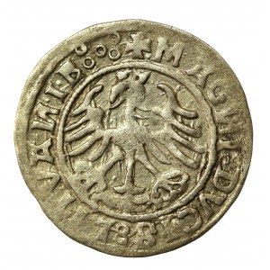 Zygmunt I Stary, Półgrosz Wilno 1520 - skrócona data 520. SIGISMUANDI (760)