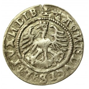 Zikmund I. Starý, Půlpenny 1527, SIGISMUANDI. LITVANDIE. (768)