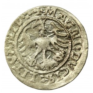 Zikmund I. Starý, půlgroše 1522, Vilnius (771)