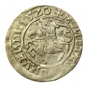 Zygmunt I Stary, półgrosz 1520, Wilno, SIGISMVANDI - odwrócone N (773)