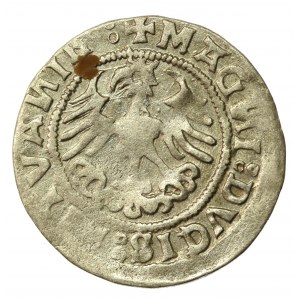 Zygmunt I Stary, półgrosz 1520, Wilno, SIGISMVANDI - odwrócone N (773)