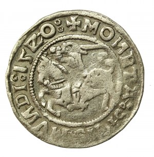 Zikmund I. Starý, půlgroše 1520, Vilnius. Opravené datum (775)