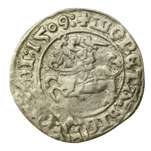 Zikmund I. Starý, půlgroše 1509, Vilnius, destrukt (777)