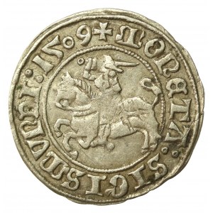 Zygmunt I Stary, półgrosz 1509, Wilno (778)
