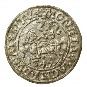 Zikmund II August, půlgroše 1547, Vilnius - LI/LITVA (795)