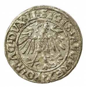 Zikmund II August, půlgroše 1547, Vilnius - LI/LITVA (795)