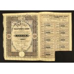 PEPEGE Polski Przemysł Gumowy Tow. Akc. Grudziądz - Em., VII - 100 PLN 1928 - NIENOTATED (677)