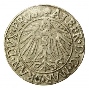 Prusy Książęce, Albrecht Hohenzollern, Grosz 1542, Królewiec (855)