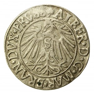 Knížecí Prusko, Albrecht Hohenzollern, Grosz 1542, Königsberg (855)