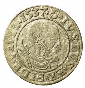 Knížecí Prusko, Albrecht Hohenzollern, Penny 1537, Königsberg - PRVSS. Vzácný ročník (856)