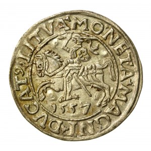 Sigismondo II Augusto, mezzo penny 1557, Vilnius. LI/LITVA (859)