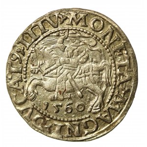 Sigismund II Augustus, Half-penny 1560, Vilnius.L/LITV (860)