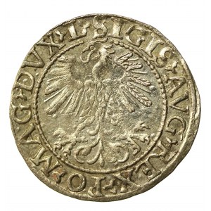 Sigismund II Augustus, Half-penny 1560, Vilnius.L/LITV (860)